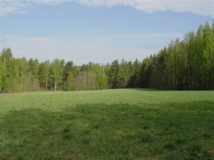 4 способа взять земельный участок в аренду у администрации