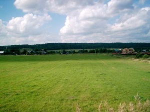 Купить земельный участок в Подмосковье