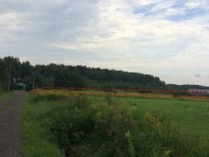 Земельные участки в Подмосковье